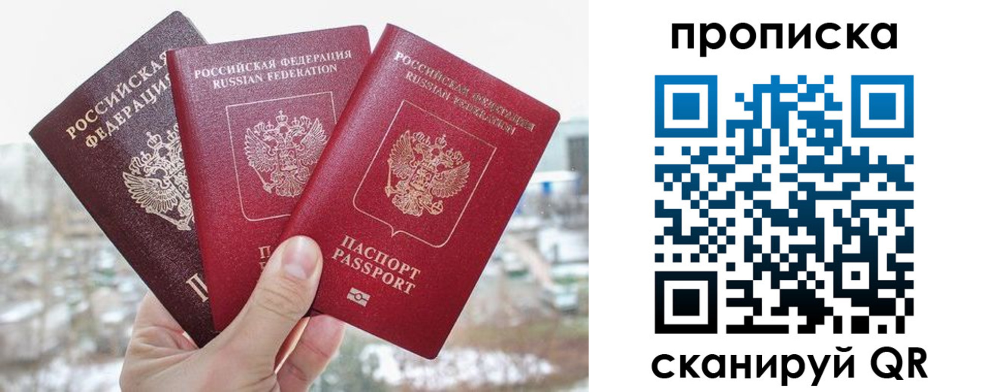 прописка регистрация в Курске