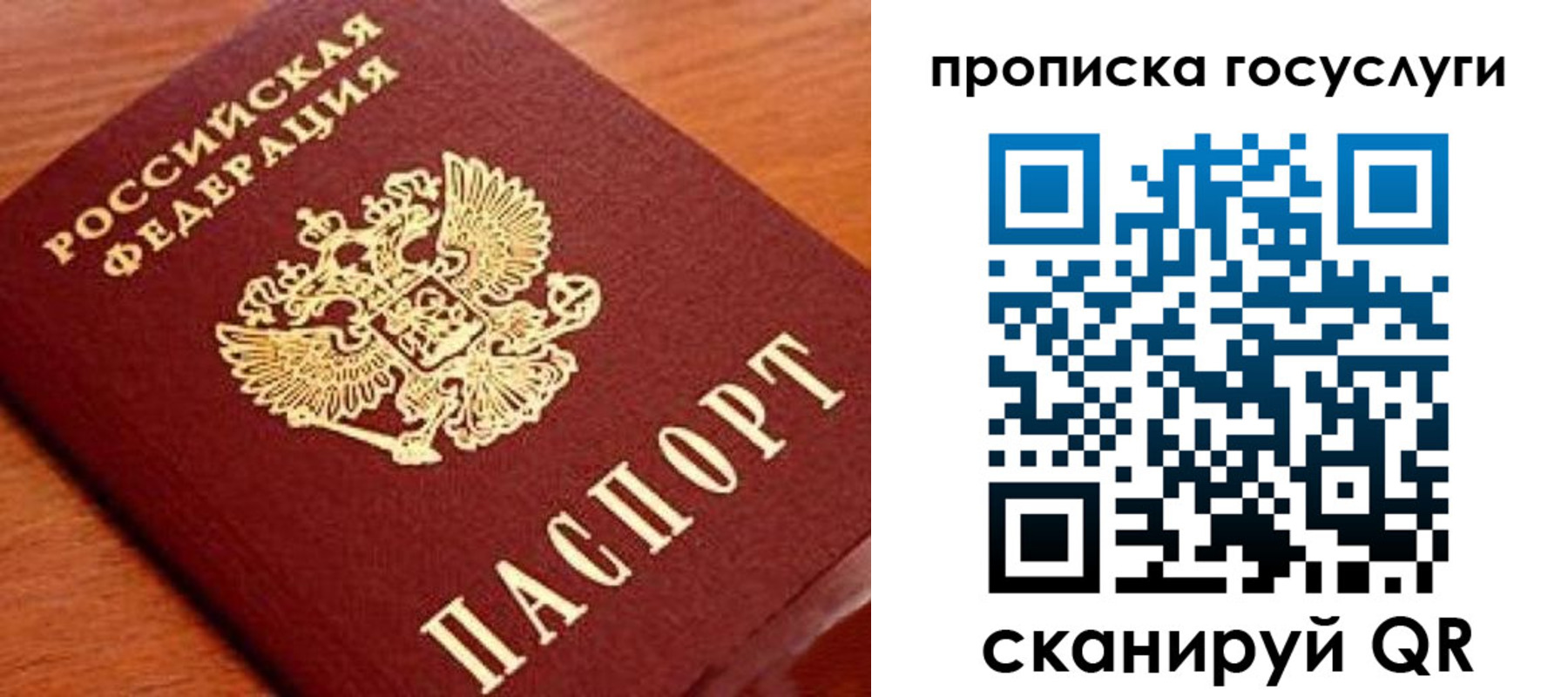 временная регистрация для школы в Курске